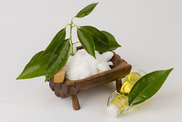 Смола против болова и инсеката